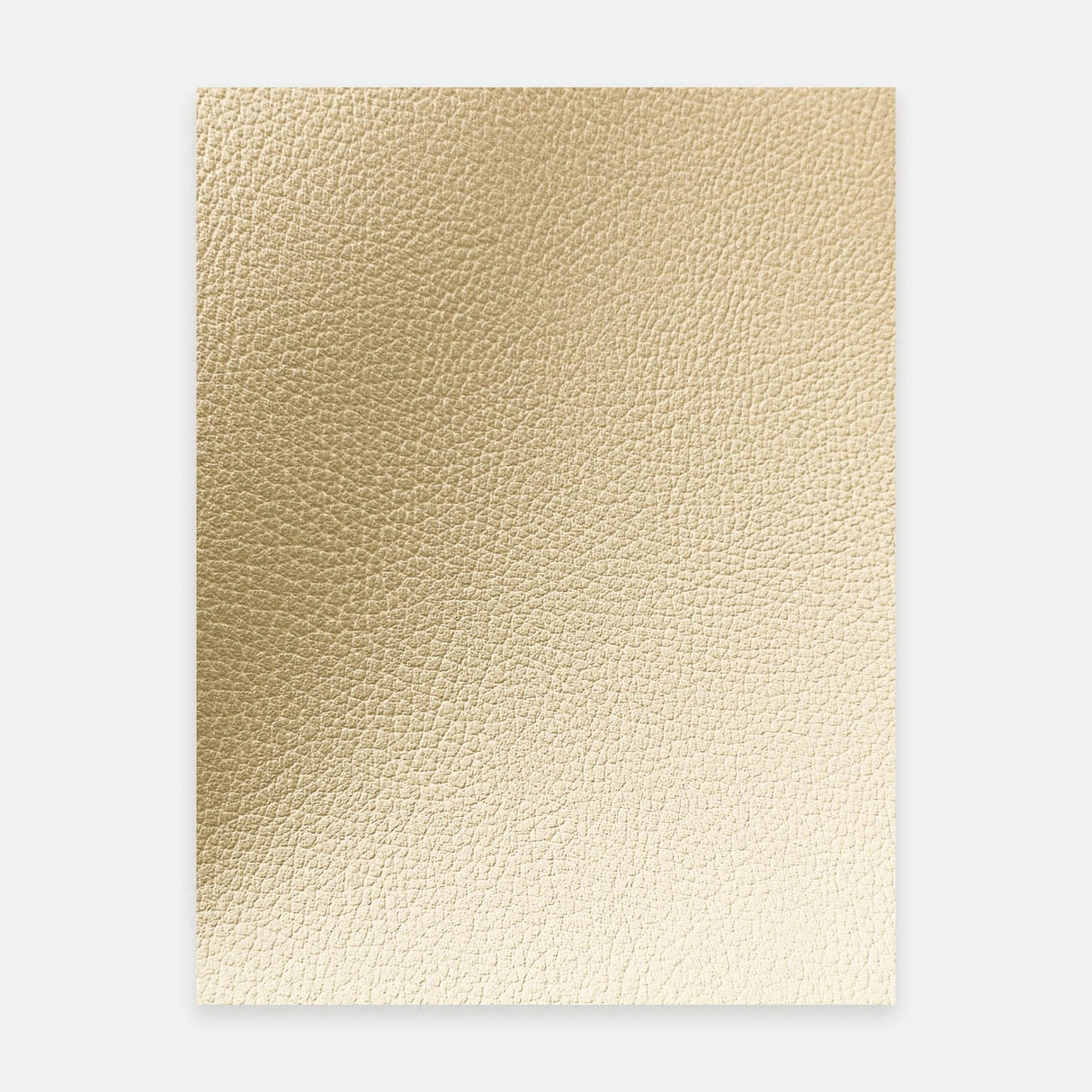 Lychee Grain Fabric Texture in Cream for RV Interior Film