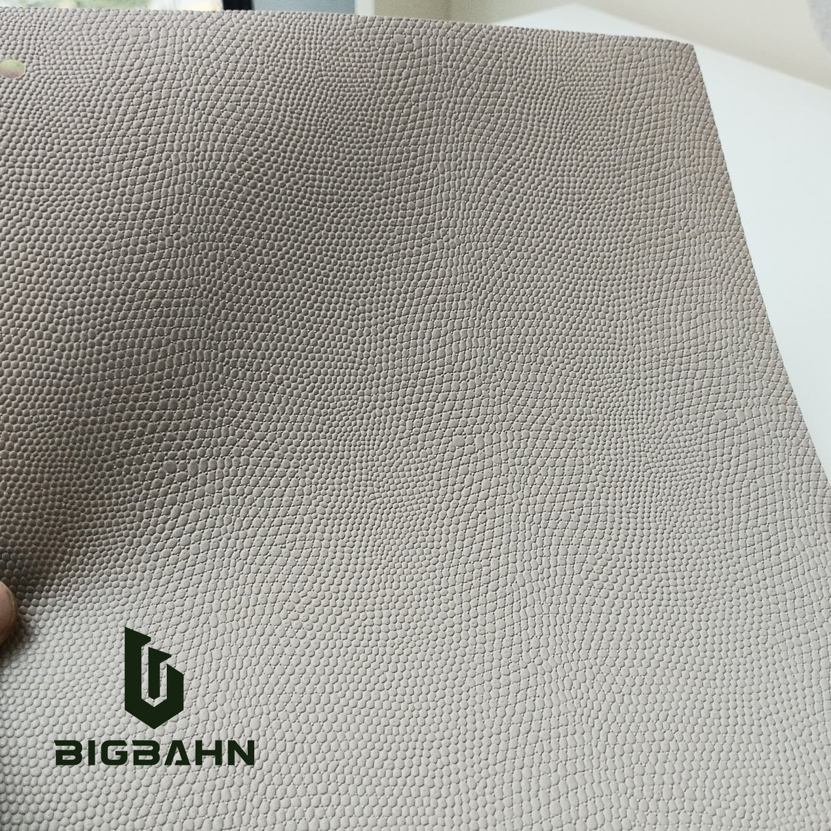 Leather Texture Bean Paste-gray Lizard Skin for RV Interior Film - Bigbahn