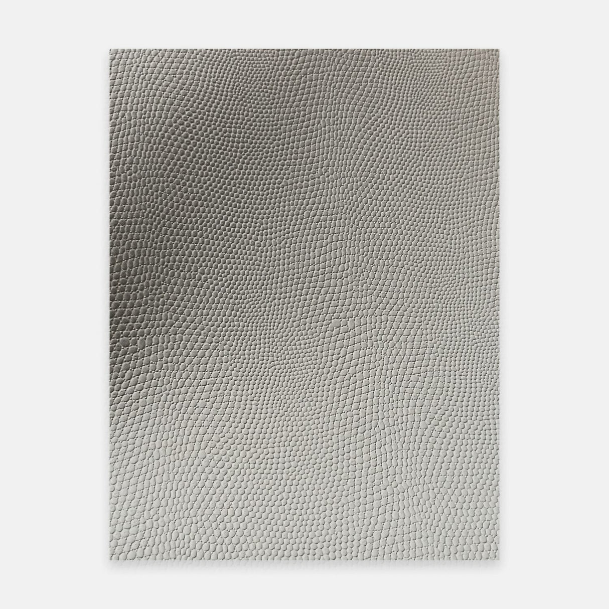 Leather Texture Bean Paste-gray Lizard Skin for RV Interior Film