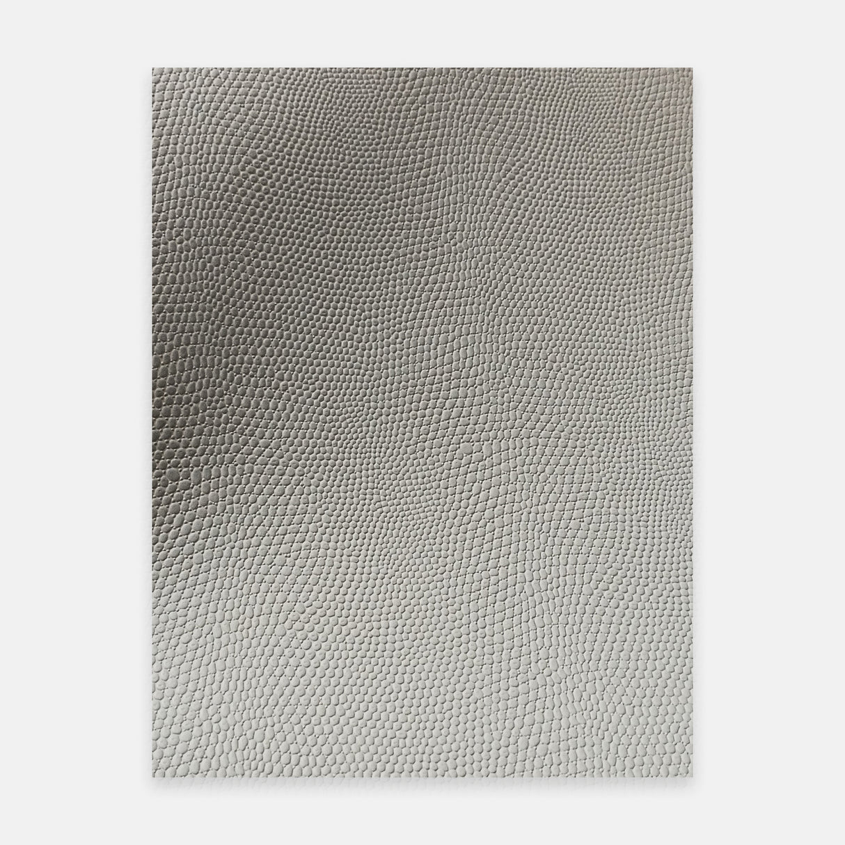 Leather Texture Bean Paste-gray Lizard Skin for RV Interior Film